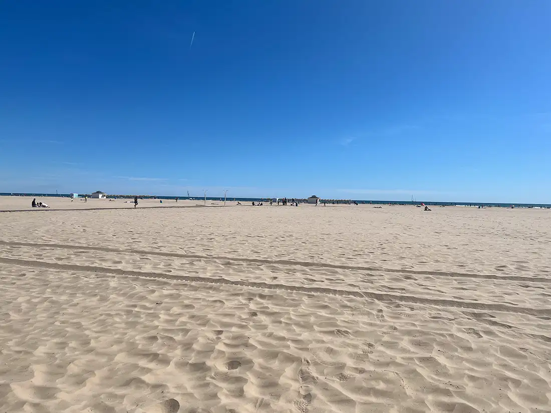 La Patacona